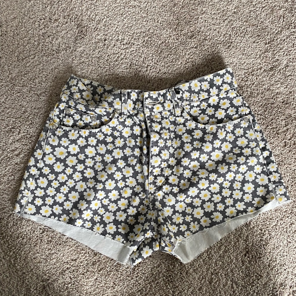 NWT- Zara Daisy shorts